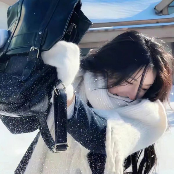 智叻狗仔队